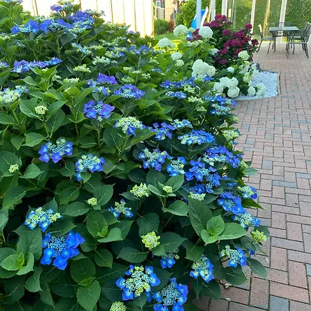 Casa vacanze Sandhoecht Großheide