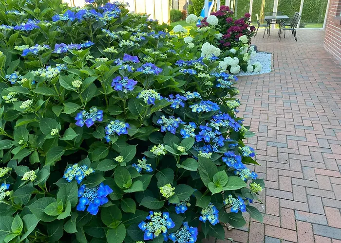 Feriehus Sandhoecht Großheide